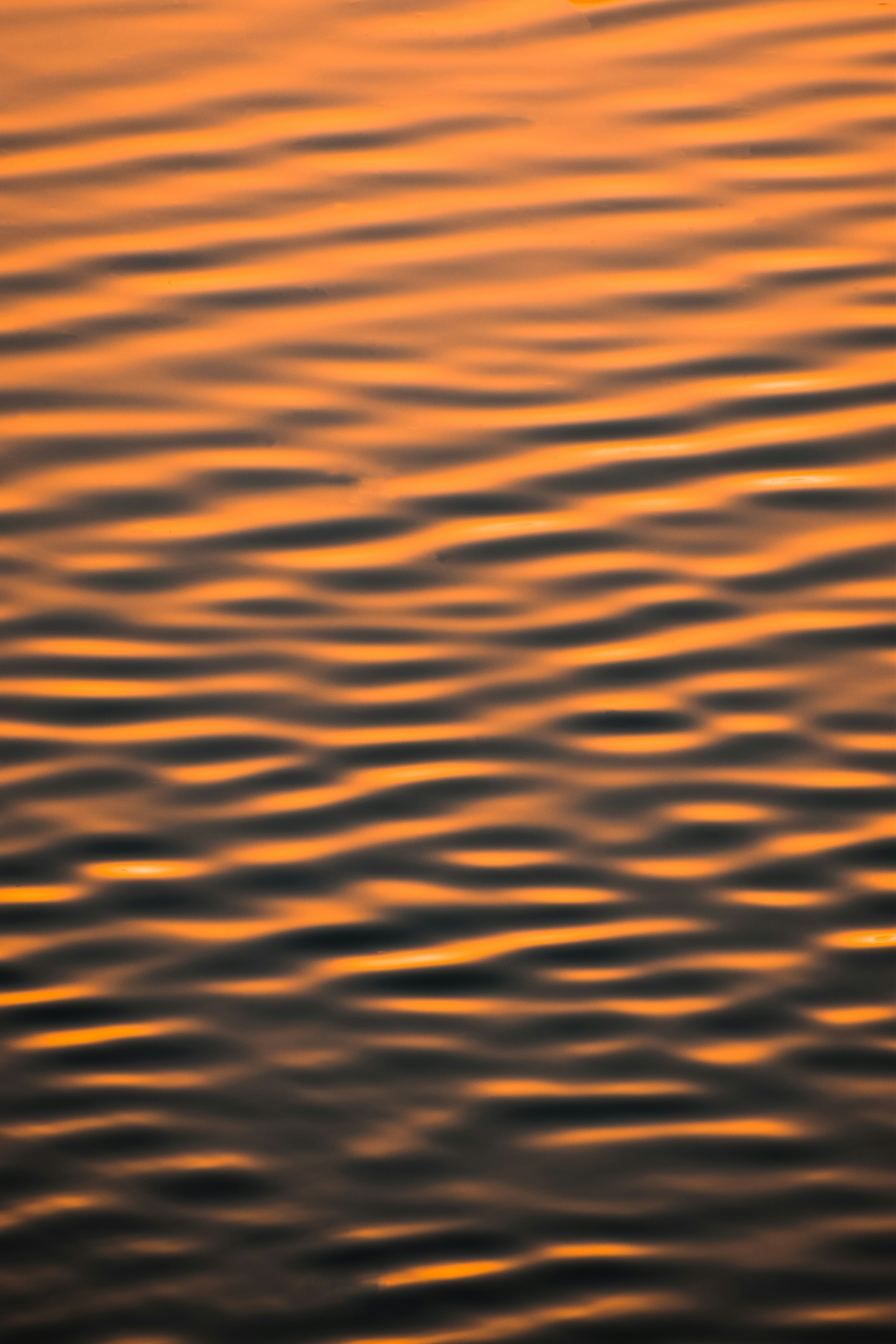 Photo by navi_photography