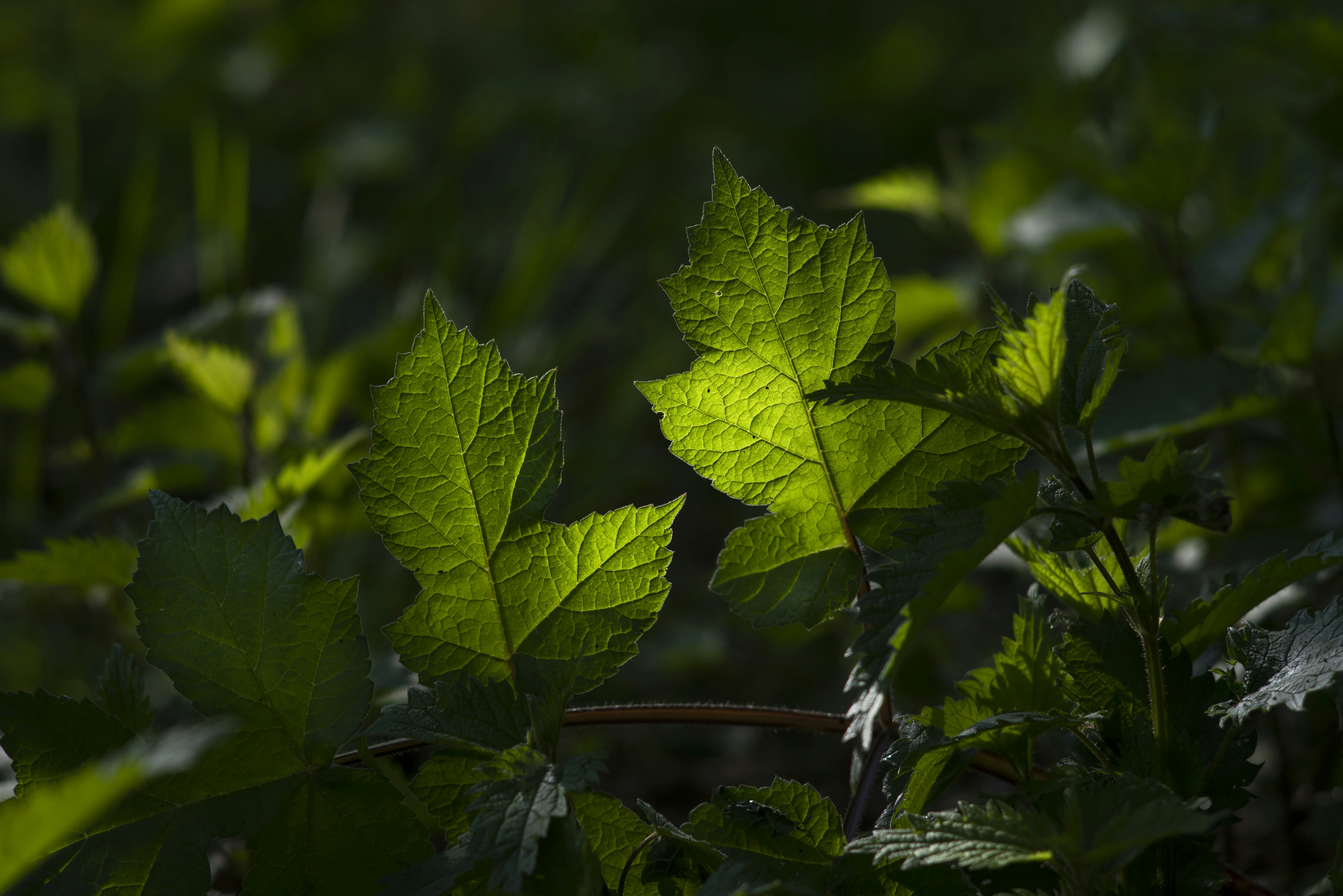 Photo by switch_dtp_fotografie