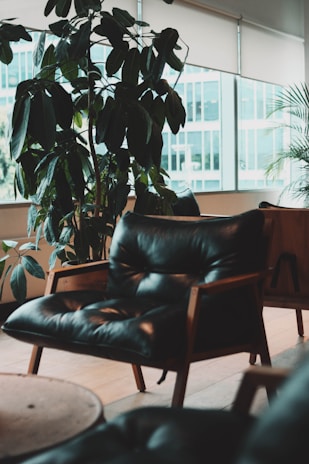 A cozy living room corner with natural wood furniture and green plants by a large window.