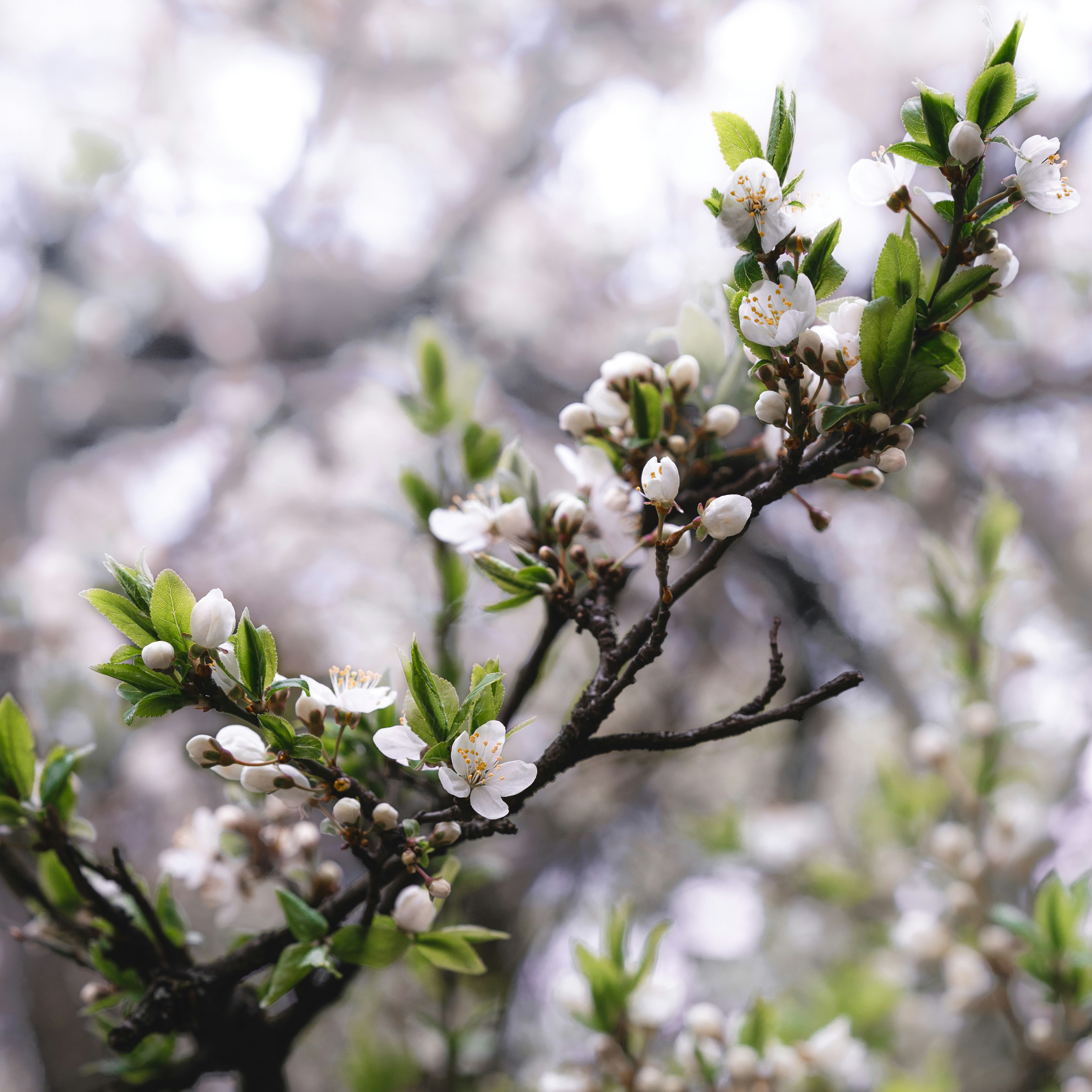 Photo by maksym_tymchyk