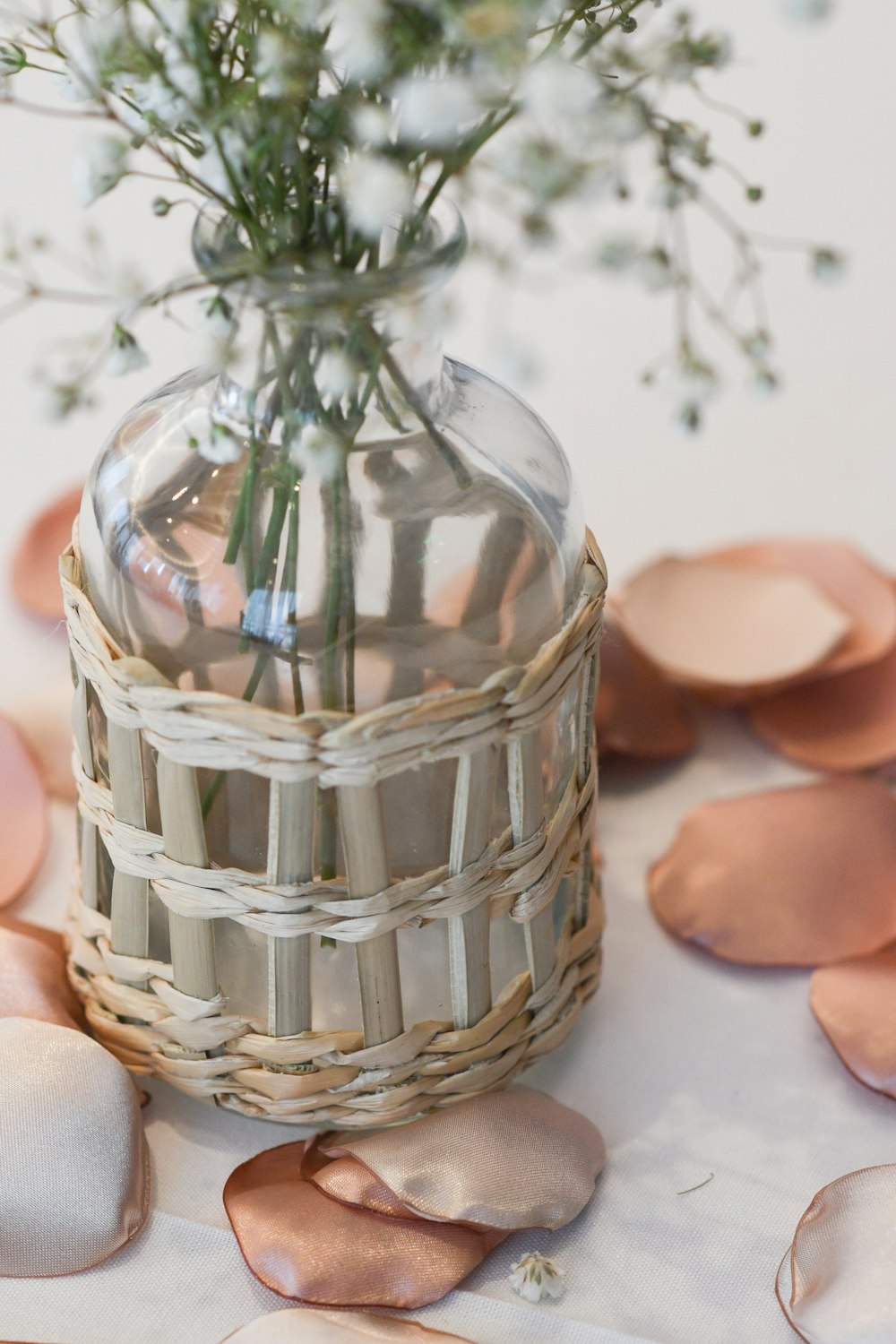 a glass jar with a plant inside