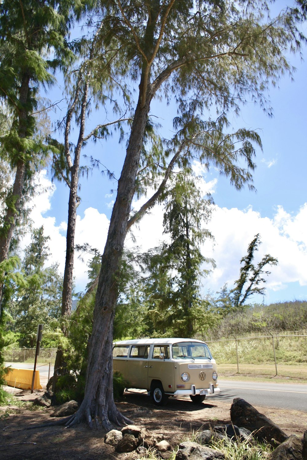 a van parked by a tree