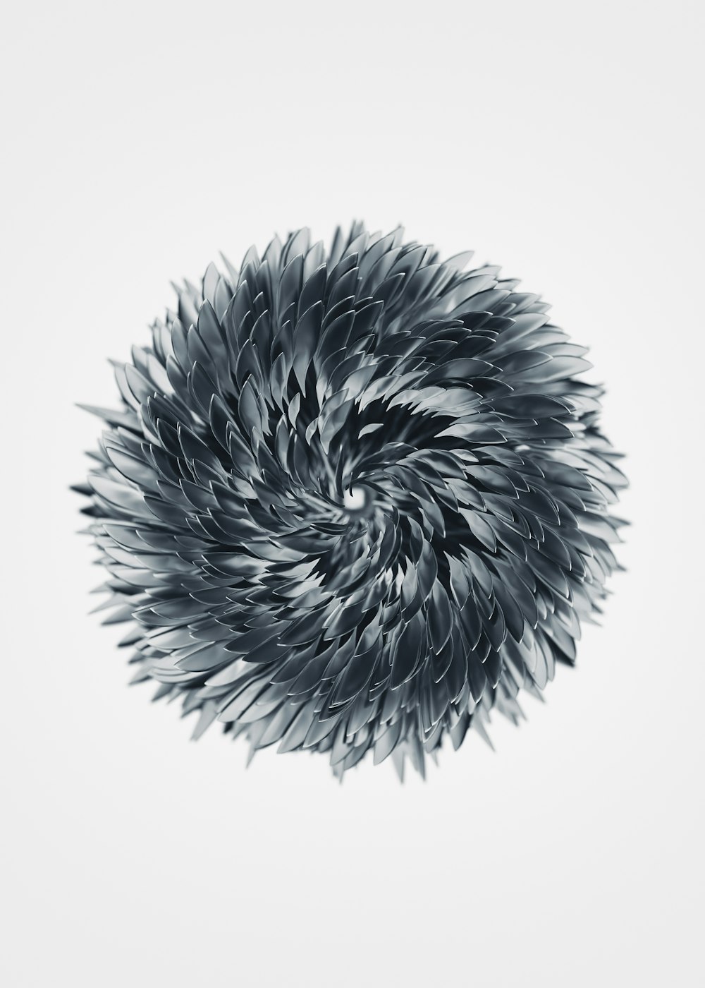 a black feather on a white background