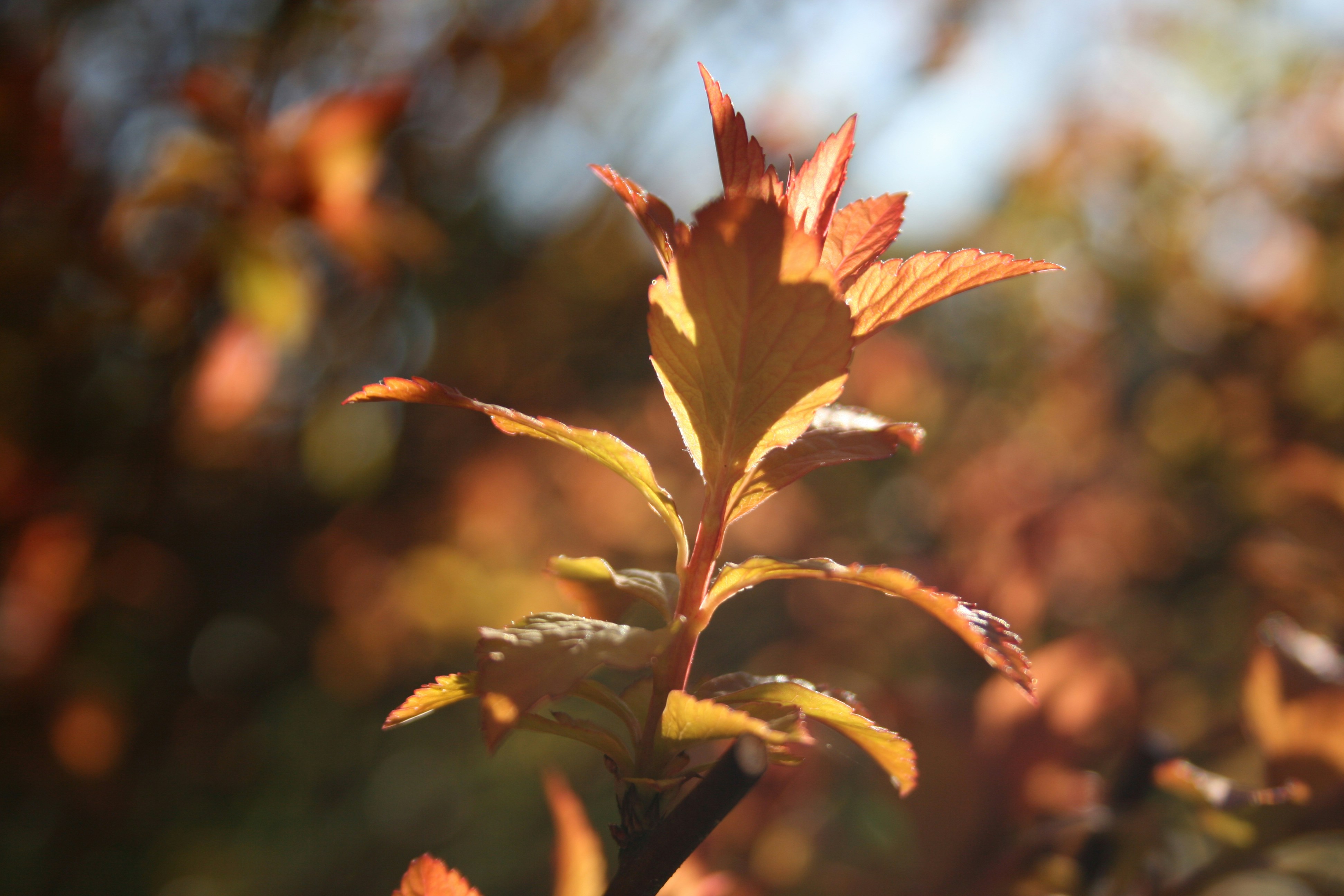 Photo by b_krysztofiak