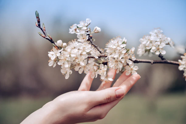 A close-up of a woman’s hands gently holding a blooming white orchid, symbolizing growth and healing.