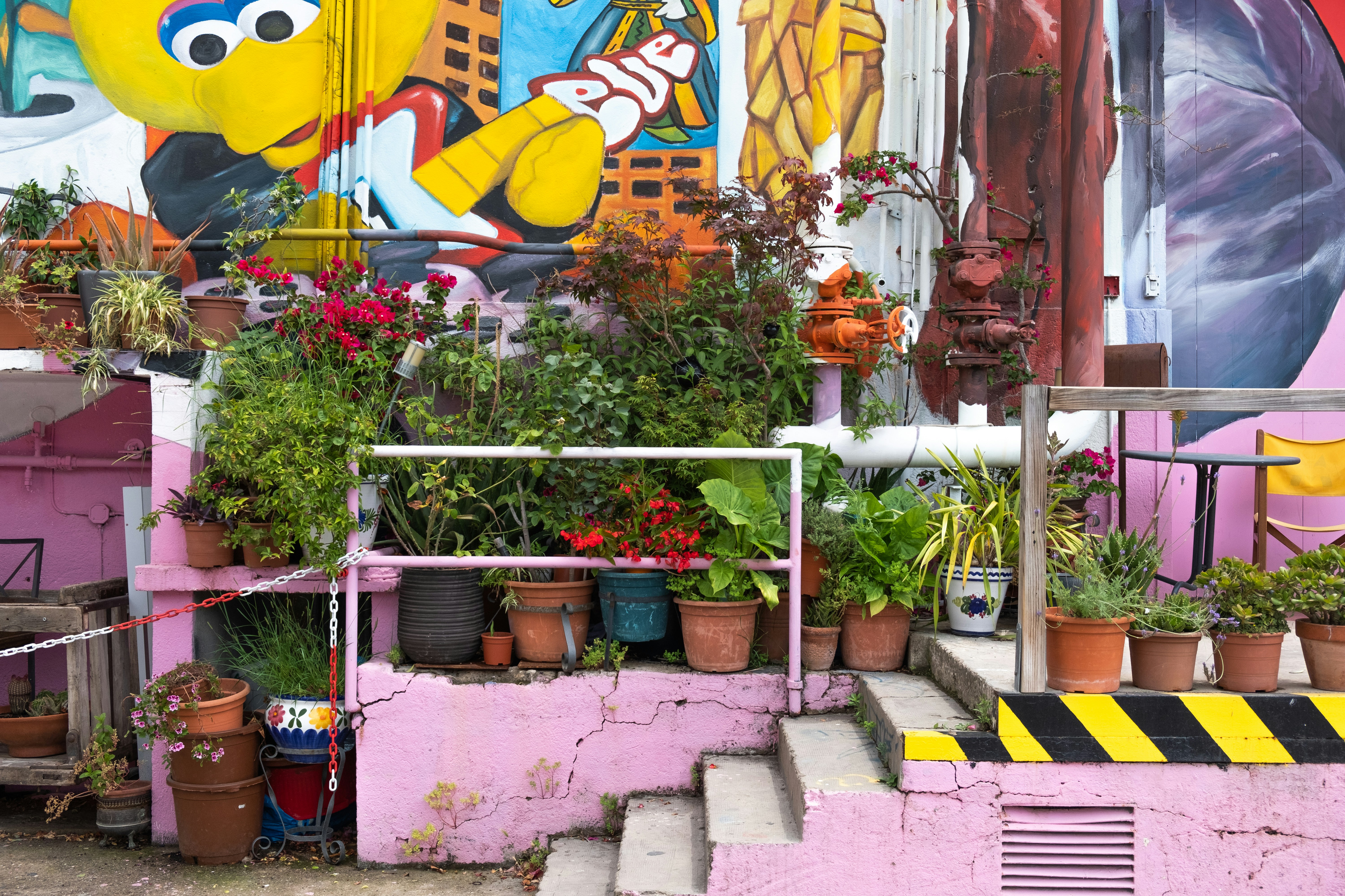 a group of potted plants outside a building