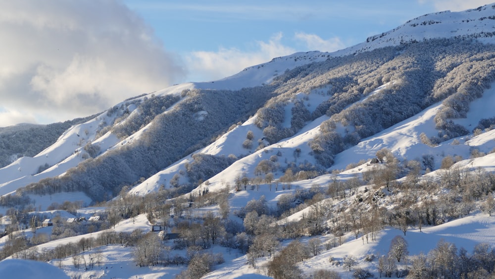 a snowy mountain side