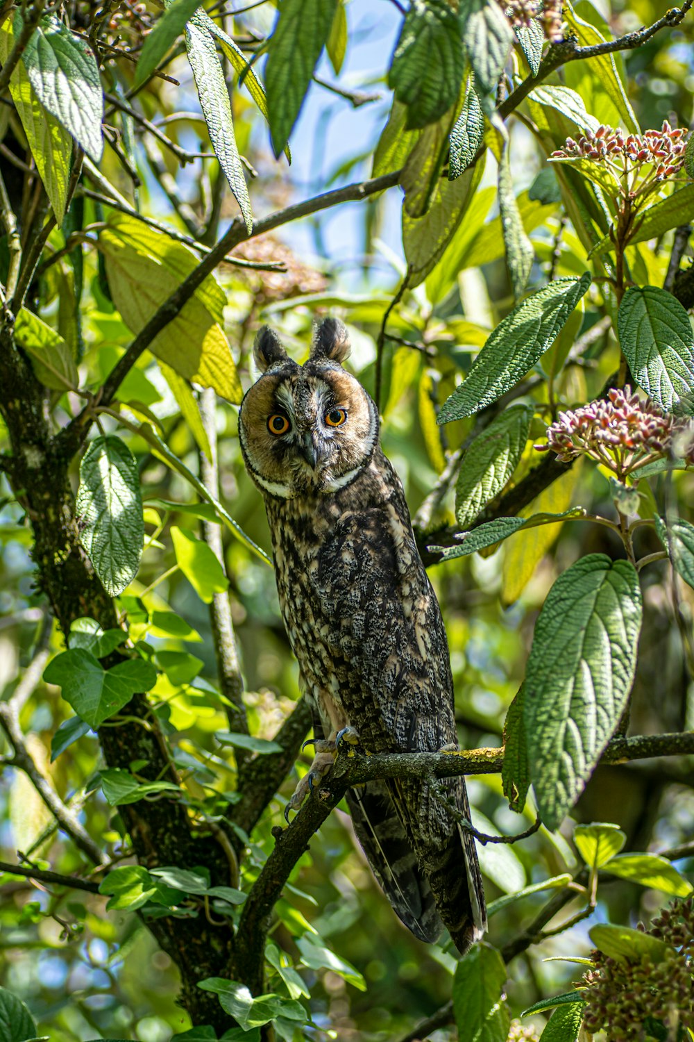 a bird perched on a branch