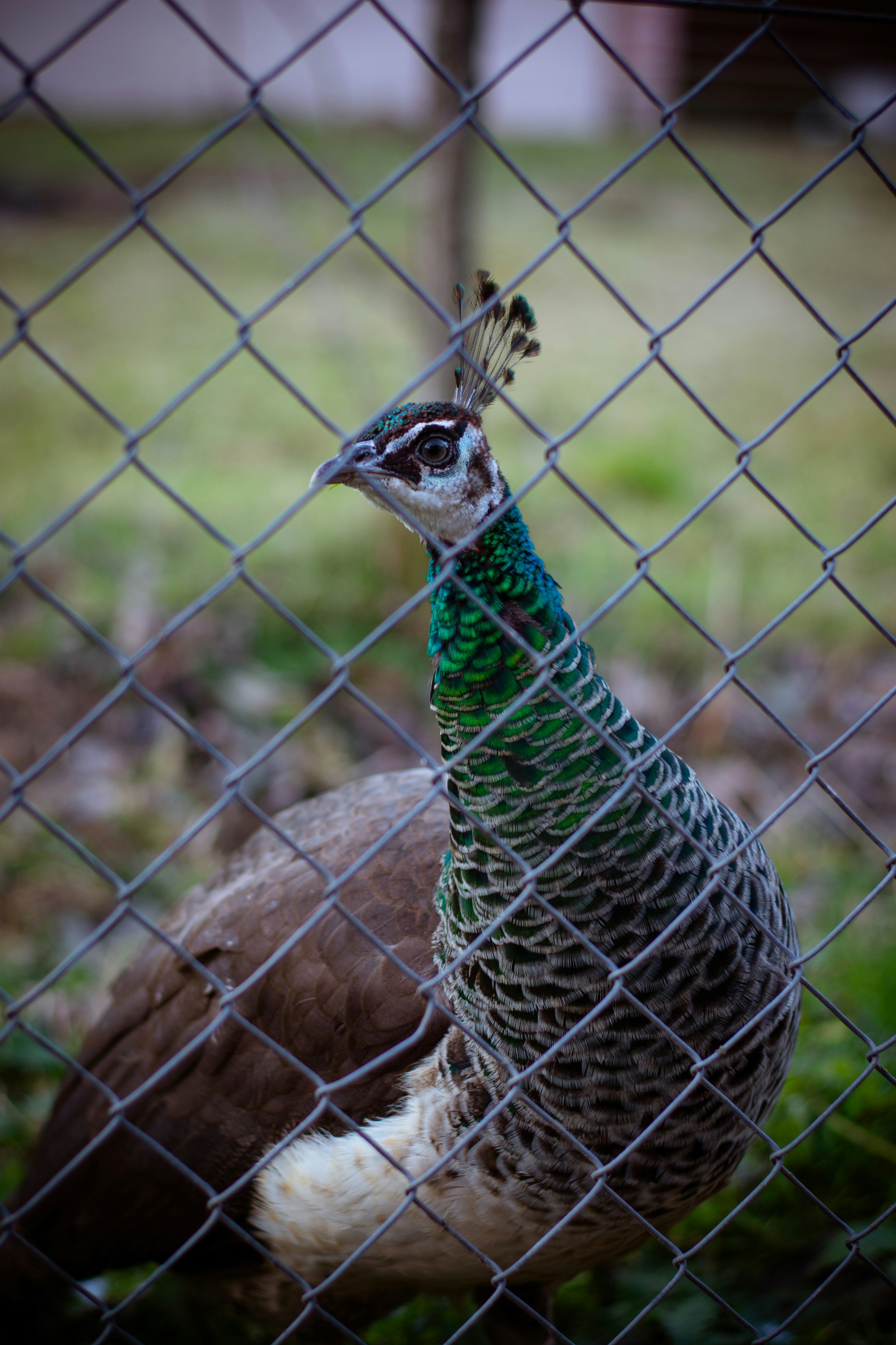 Photo by alexbc_photographer