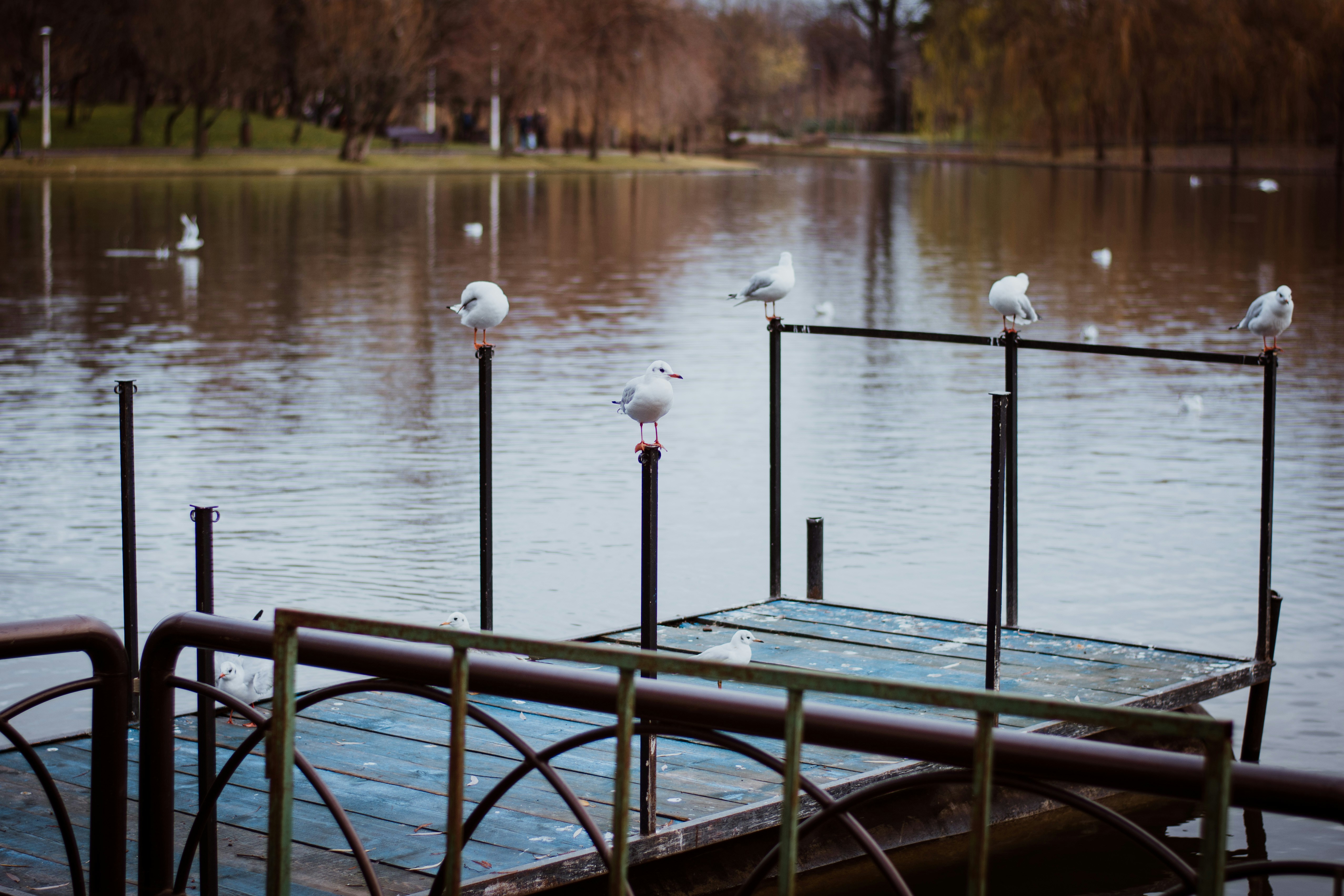 Photo by alexbc_photographer