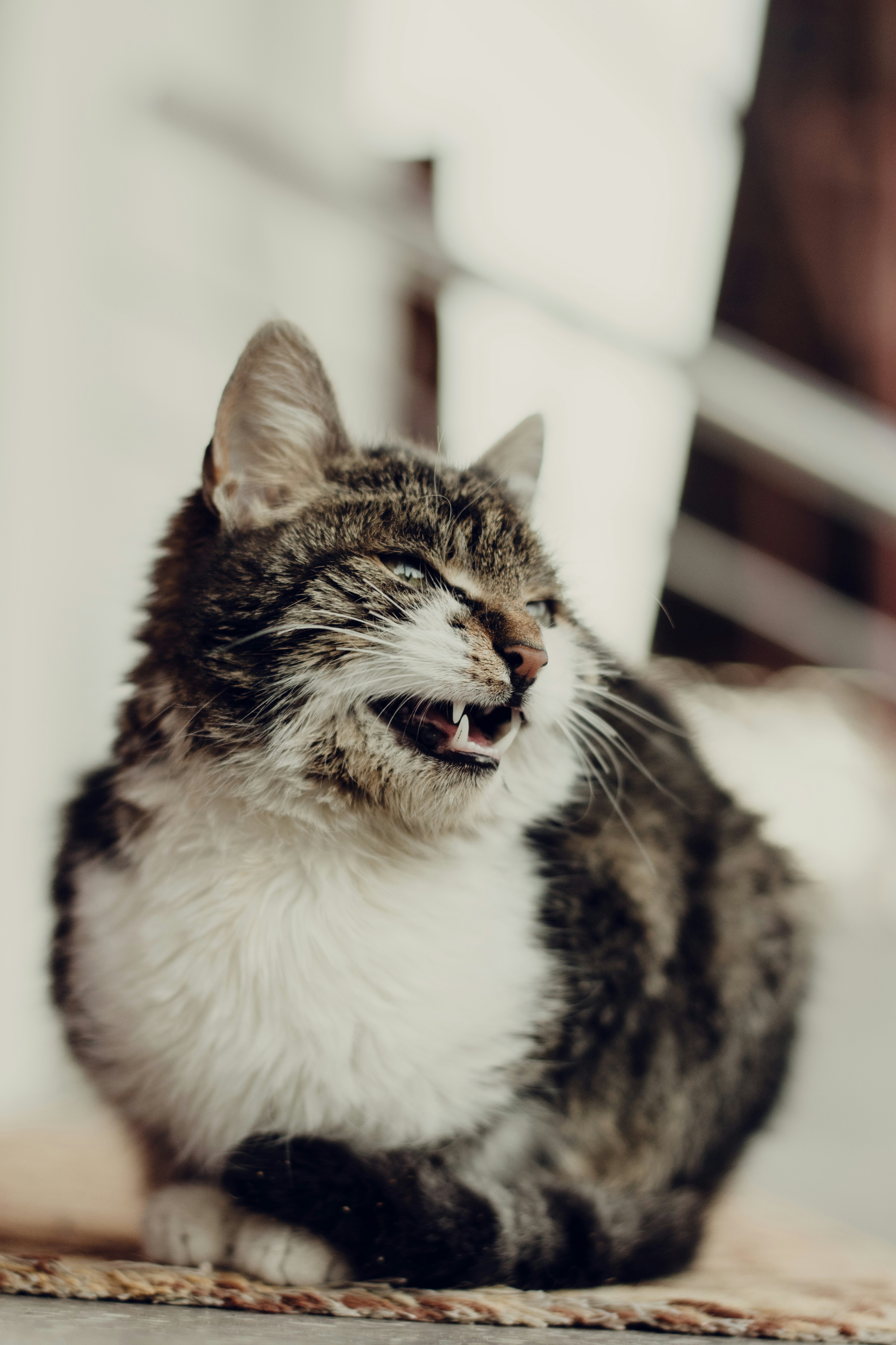 Photo by alexbc_photographer