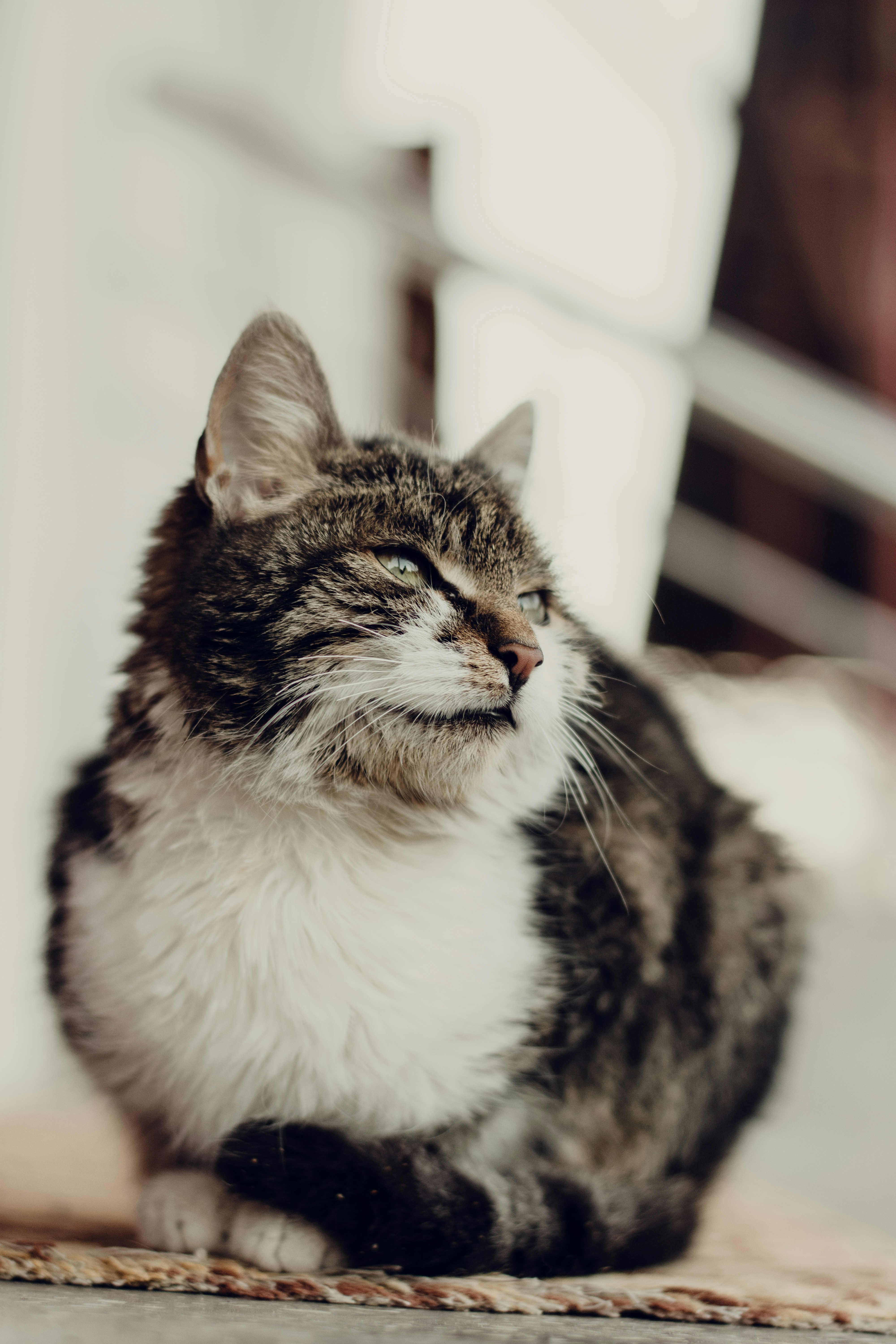 Photo by alexbc_photographer