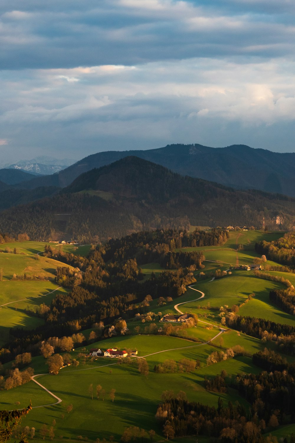 a flock of sheep grazing on a lush green hillside