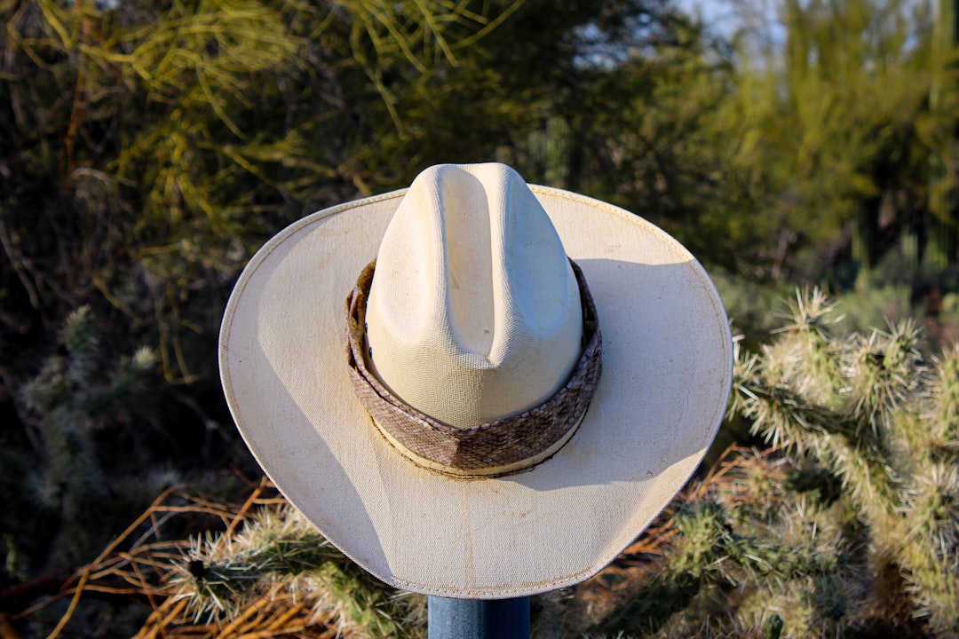 a hat on a pole