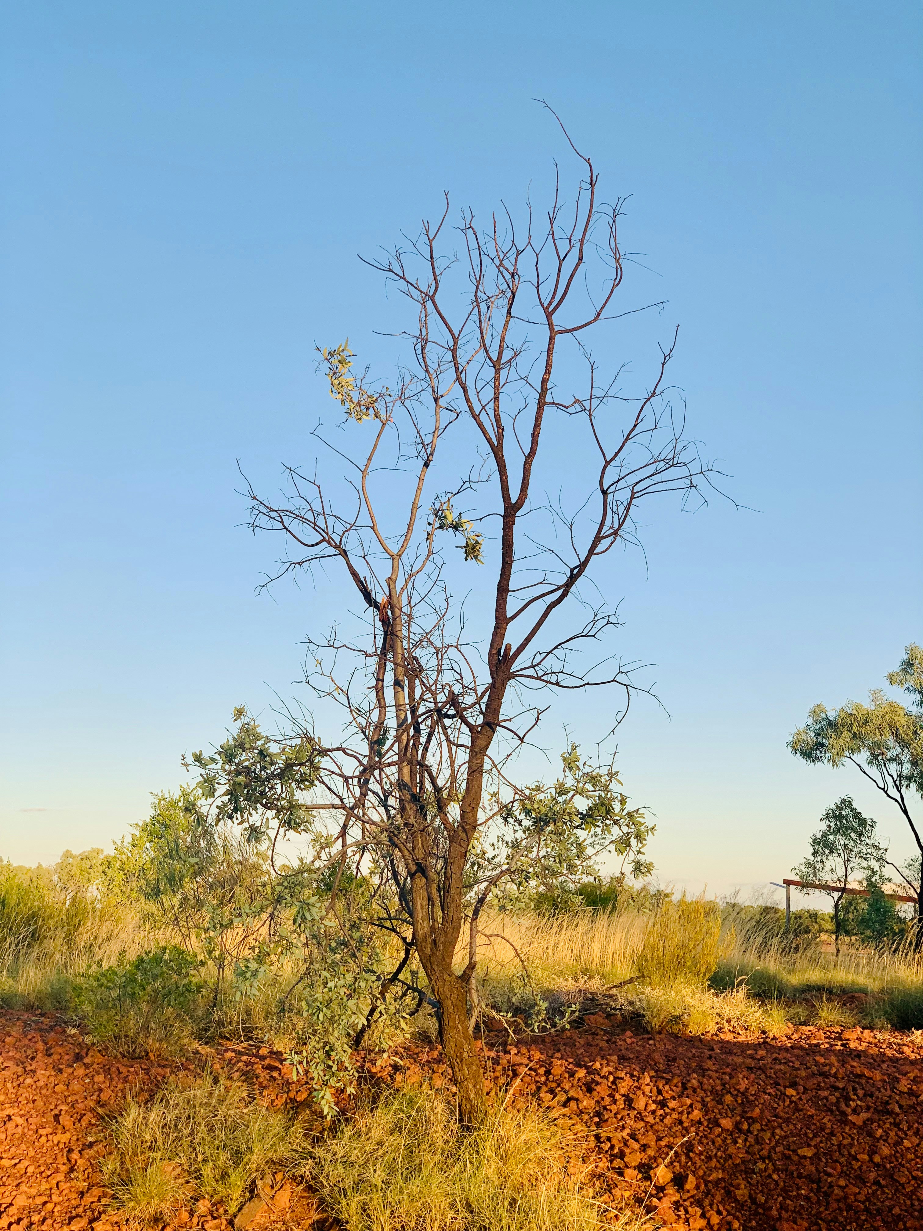 Photo by thecameraclub