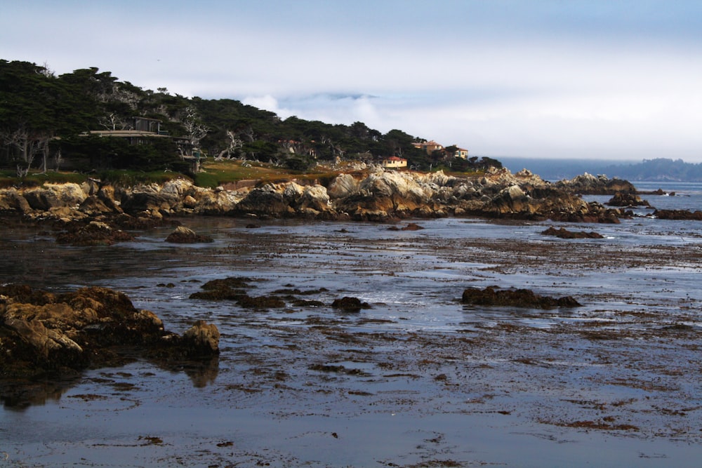 a rocky beach with trees and a building in the distance