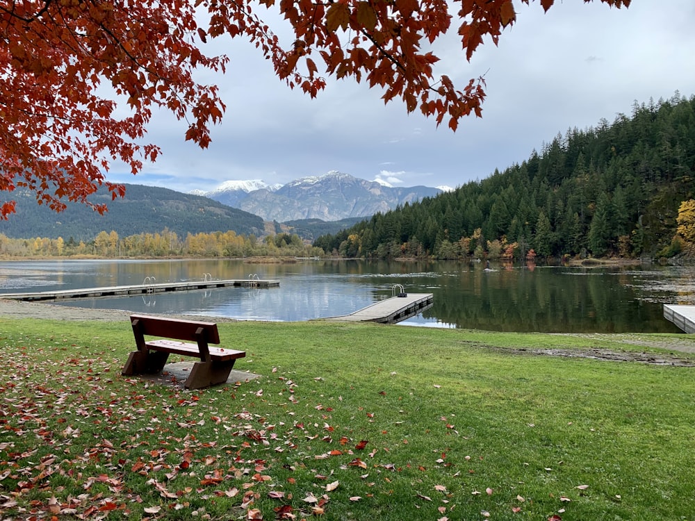 a bench sits by a lake