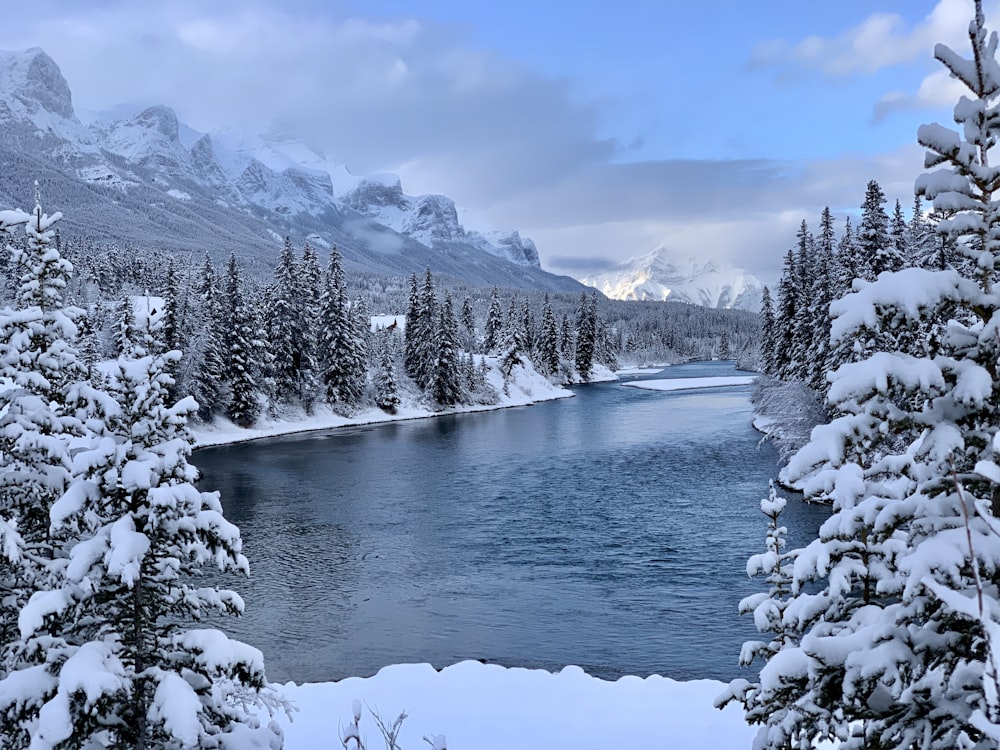 a river surrounded by snow covered trees