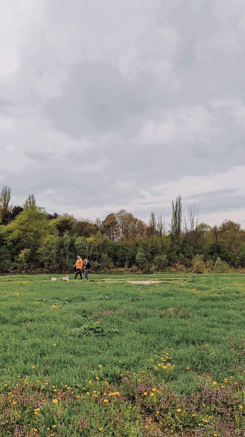 a couple people walking in a field