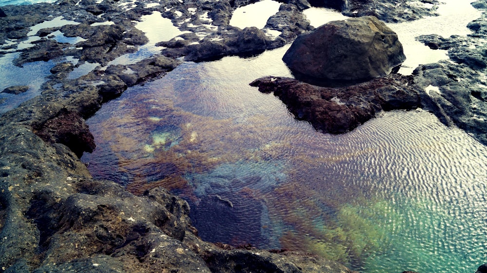 a rocky coast line