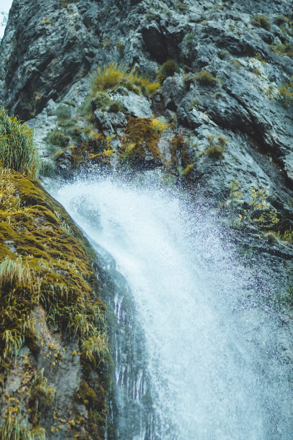 a waterfall with rocks and plants