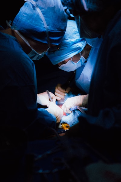 a person holding a baby