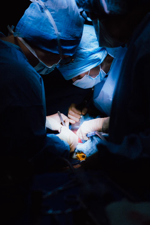 a person holding a baby