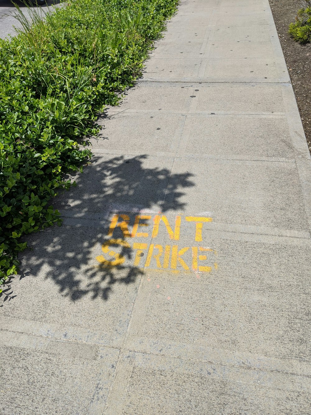 a shadow of a person on a sidewalk