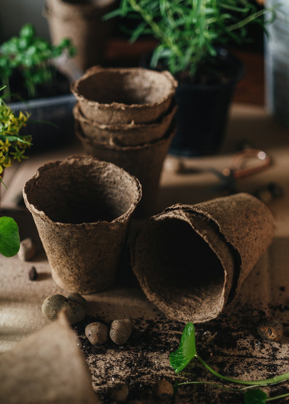 a group of pots with rocks in them