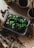 A close-up view of a plastic container filled with soil and sprouting basil plants. Surrounding the container are gardening tools, pots, and scattered soil on a wooden surface, suggesting a scene of planting or gardening.