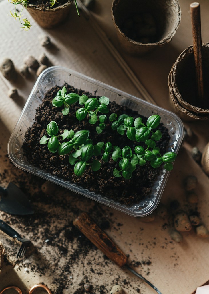 Fertilizante para Hortaliças