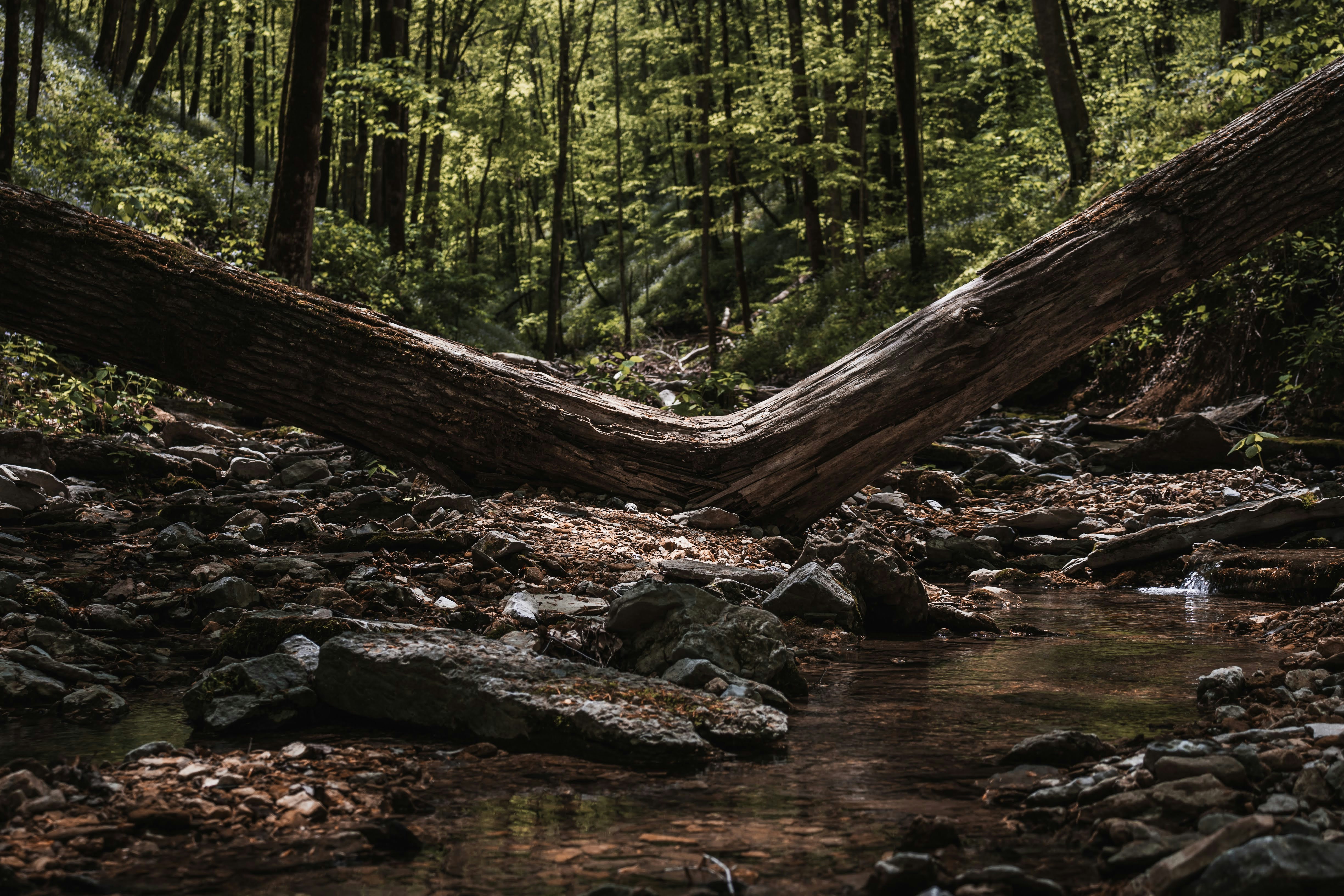 Photo by brice_cooper18