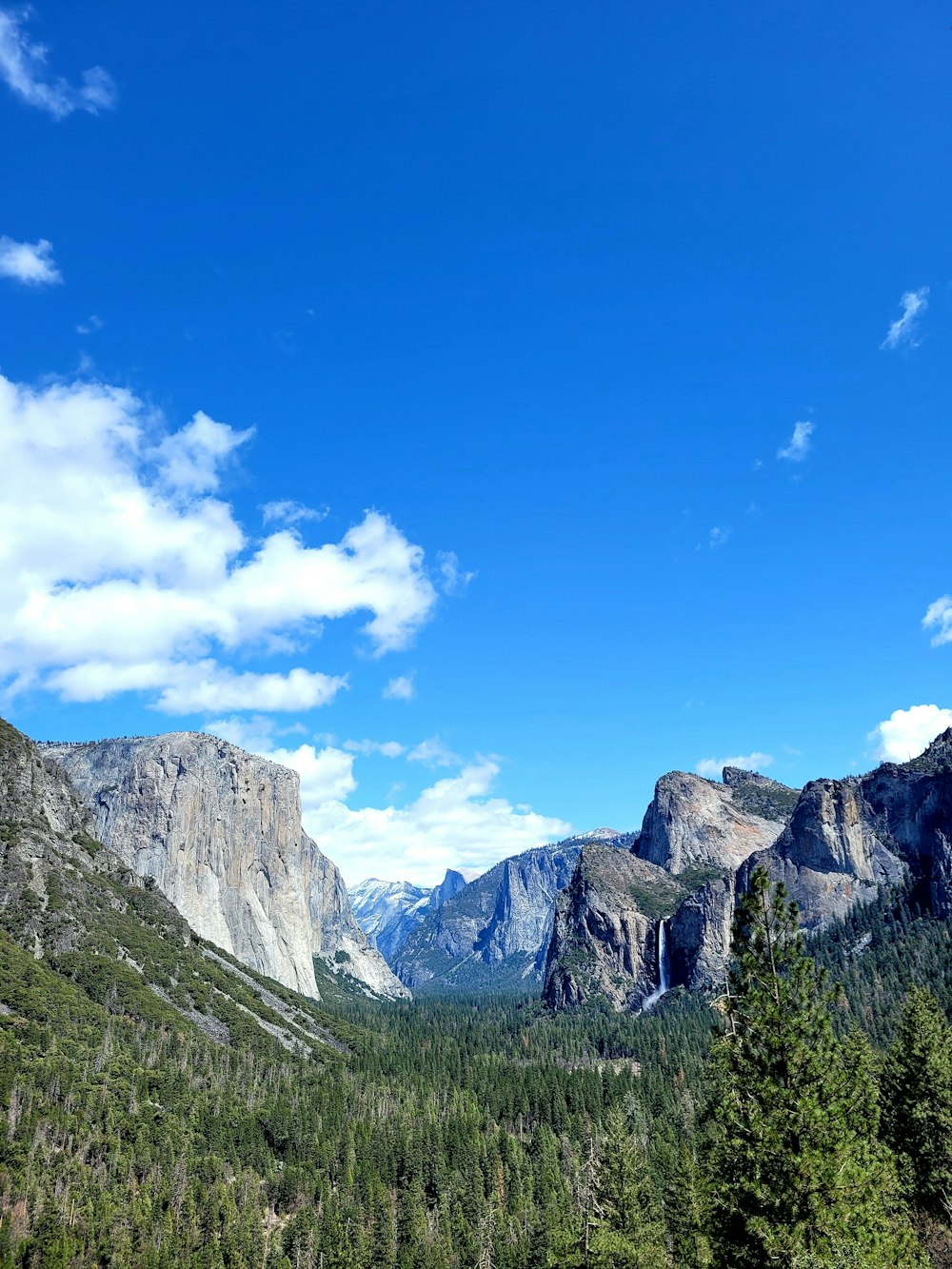 uma paisagem com árvores e montanhas