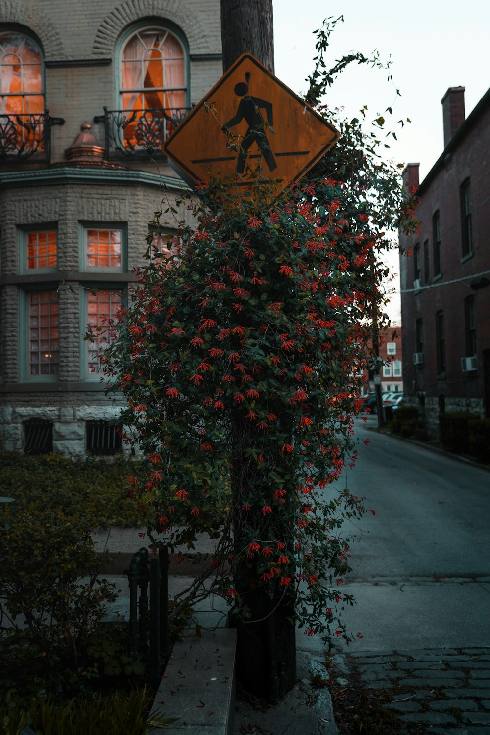 a tree with a sign on it