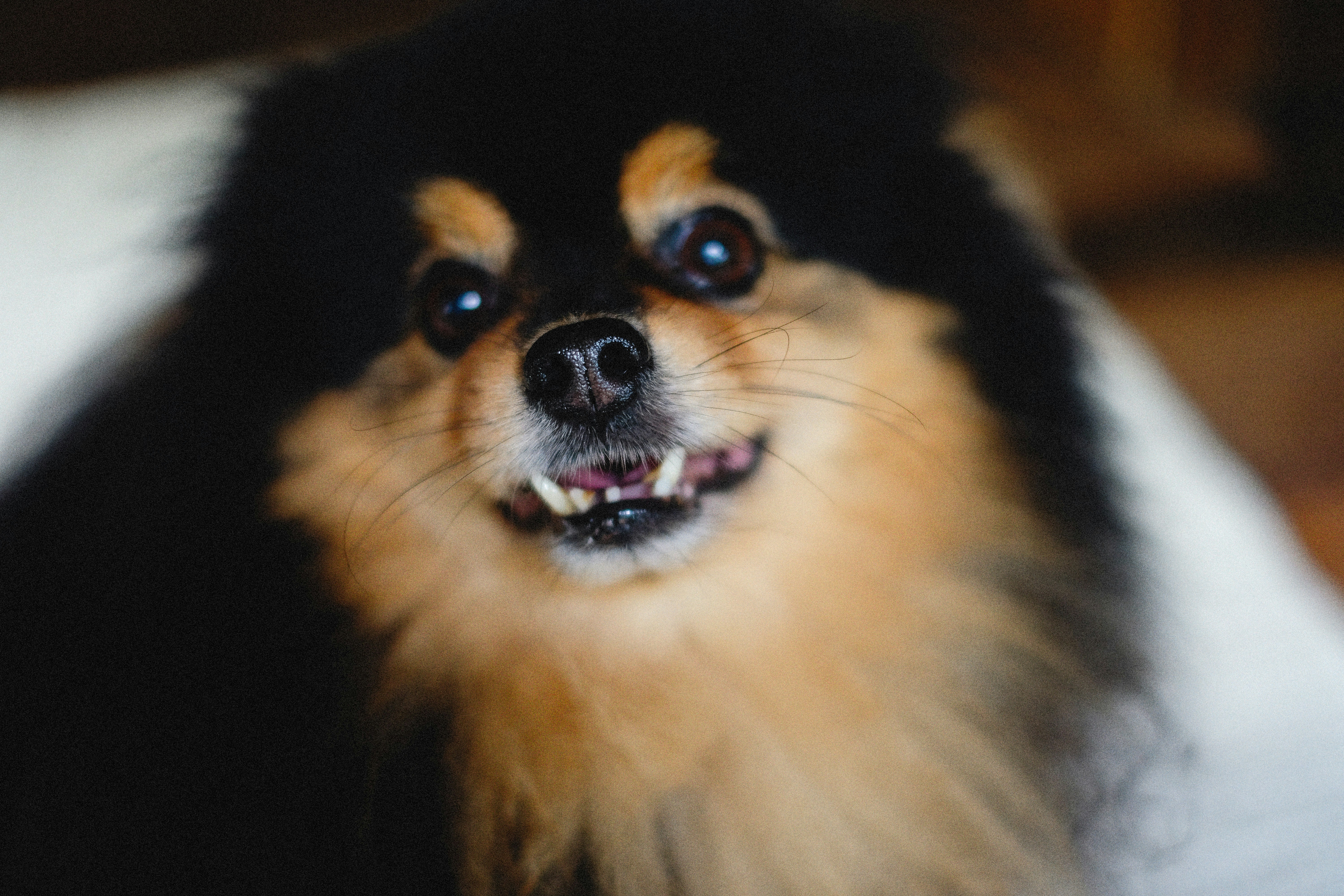 Photo by alexeydemidov