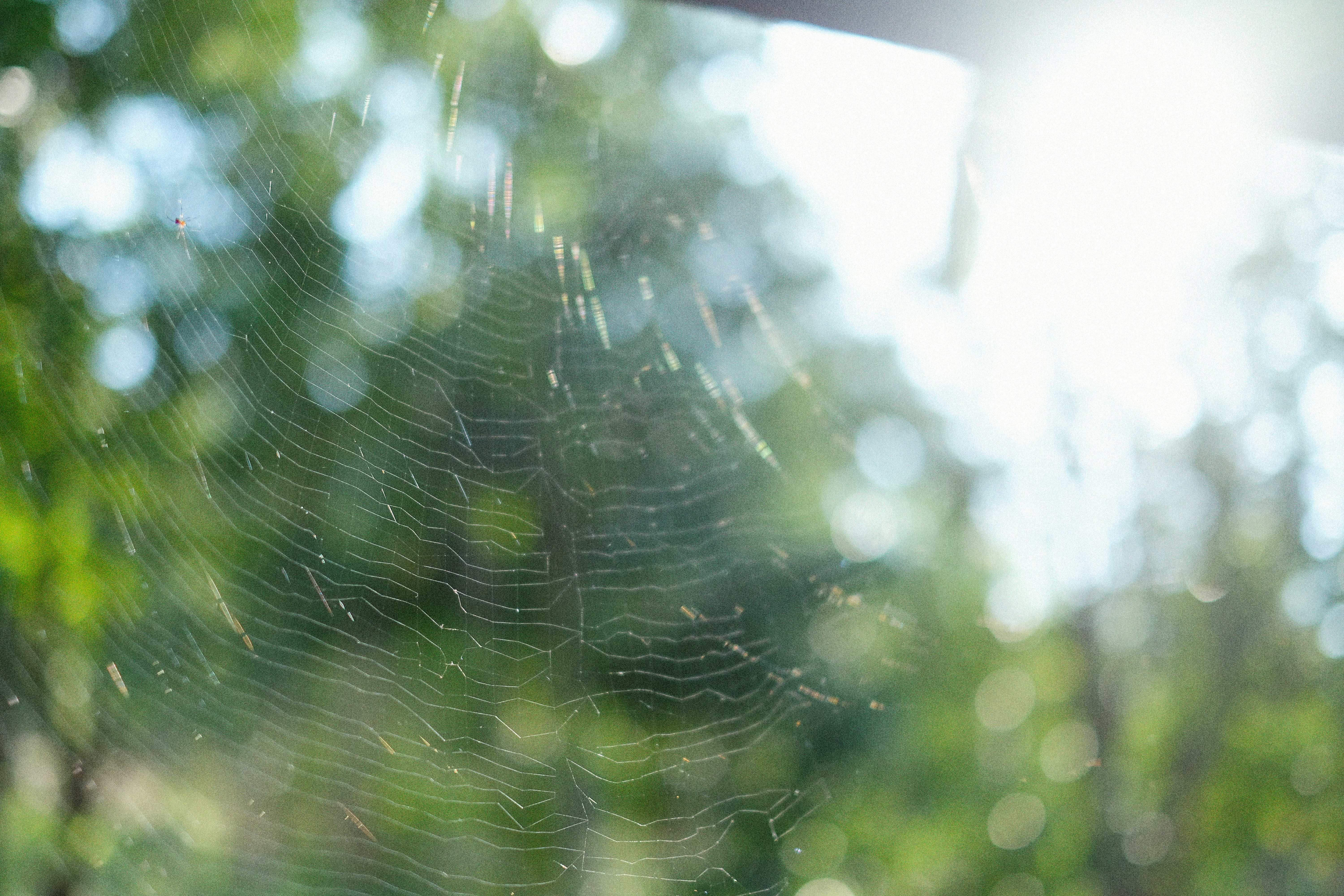 Photo by alexeydemidov