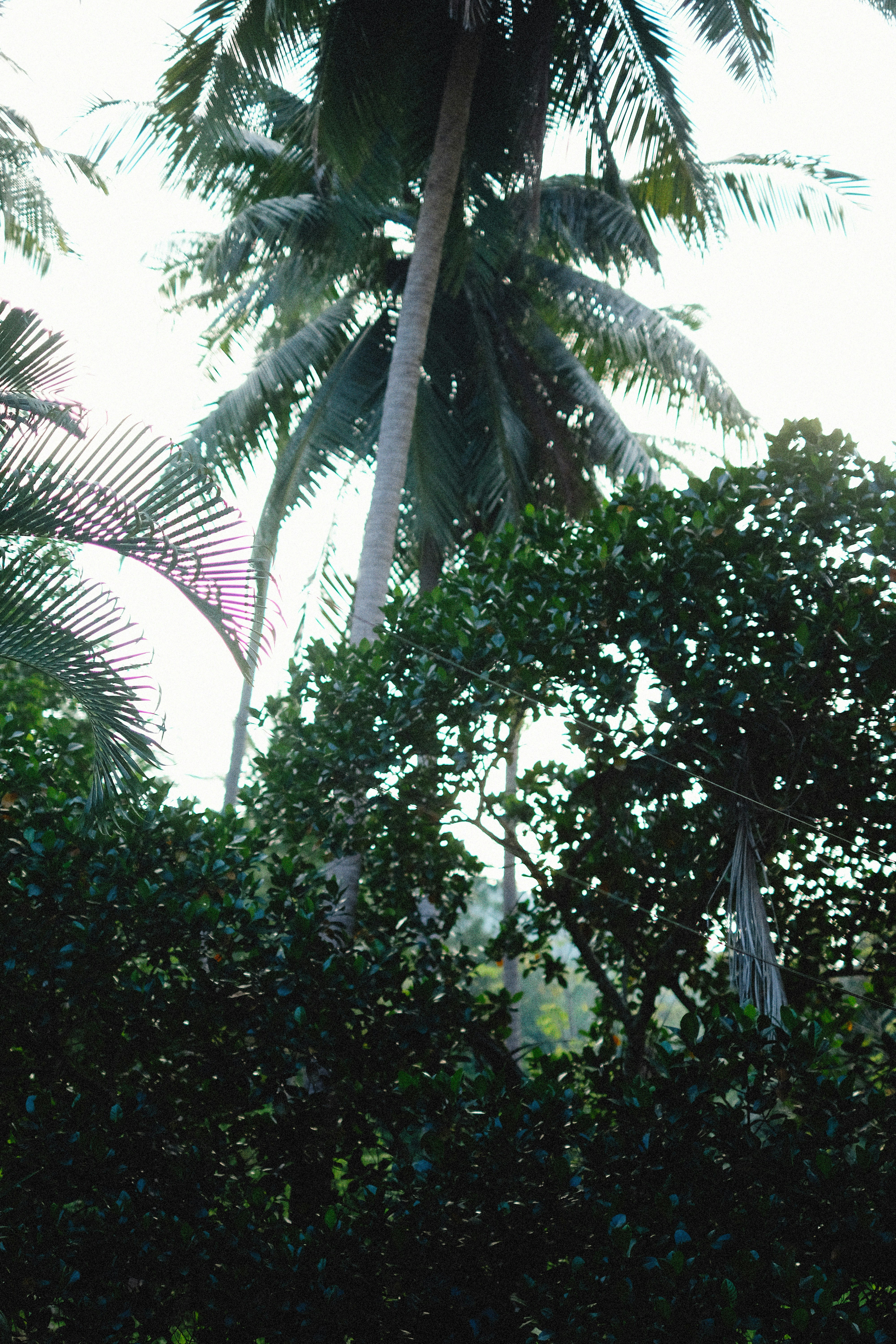 Photo by alexeydemidov