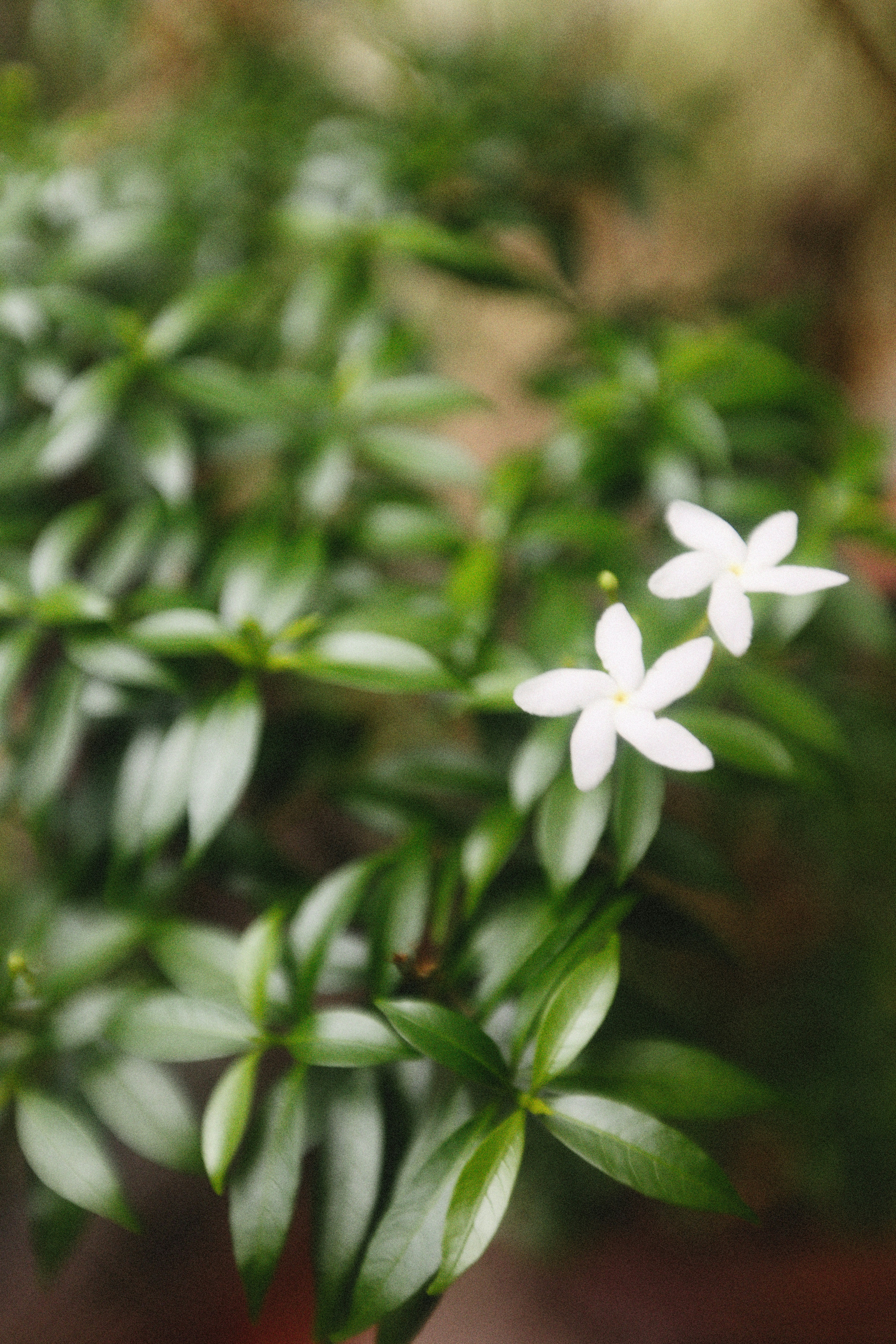 Photo by alexeydemidov