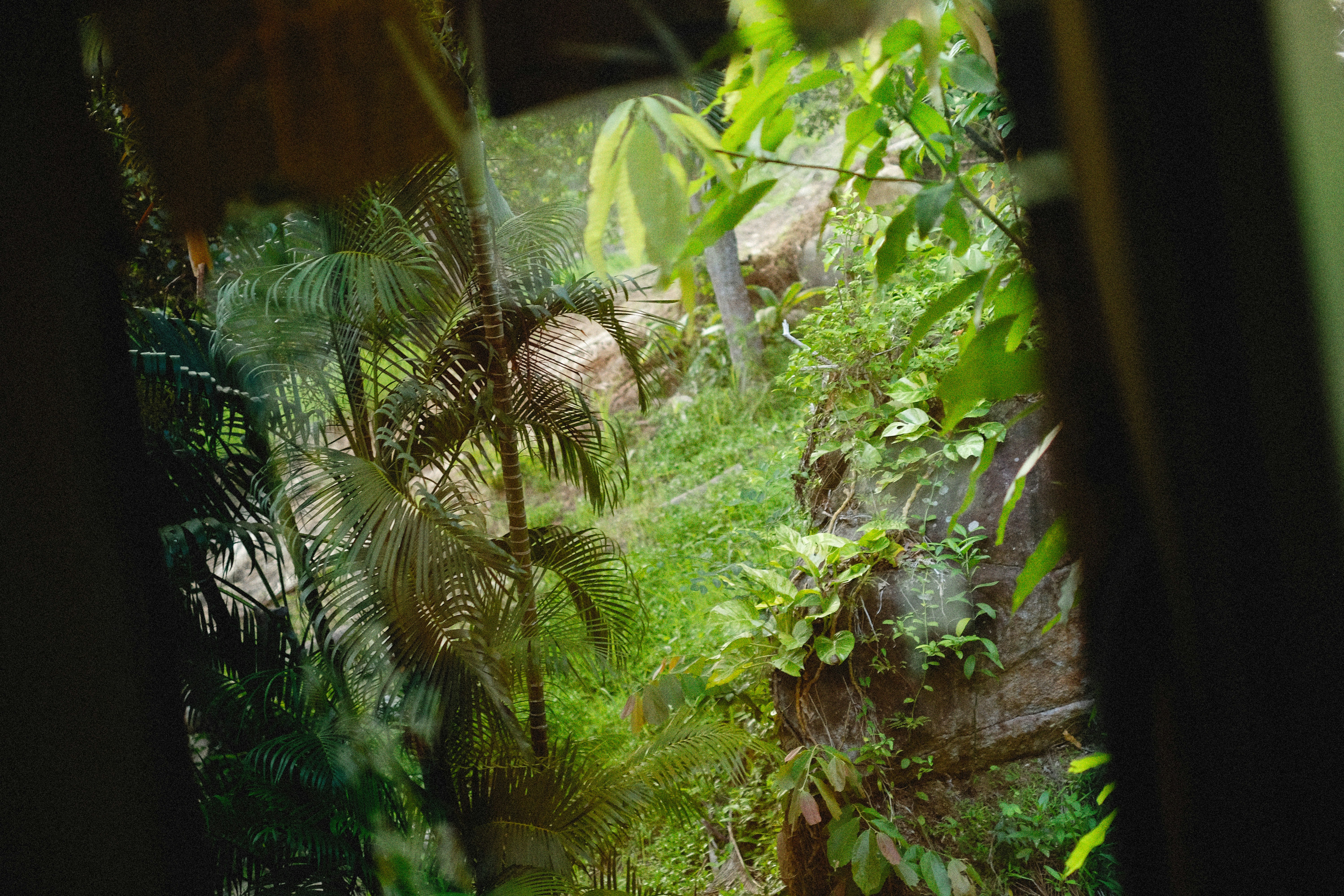 Photo by alexeydemidov