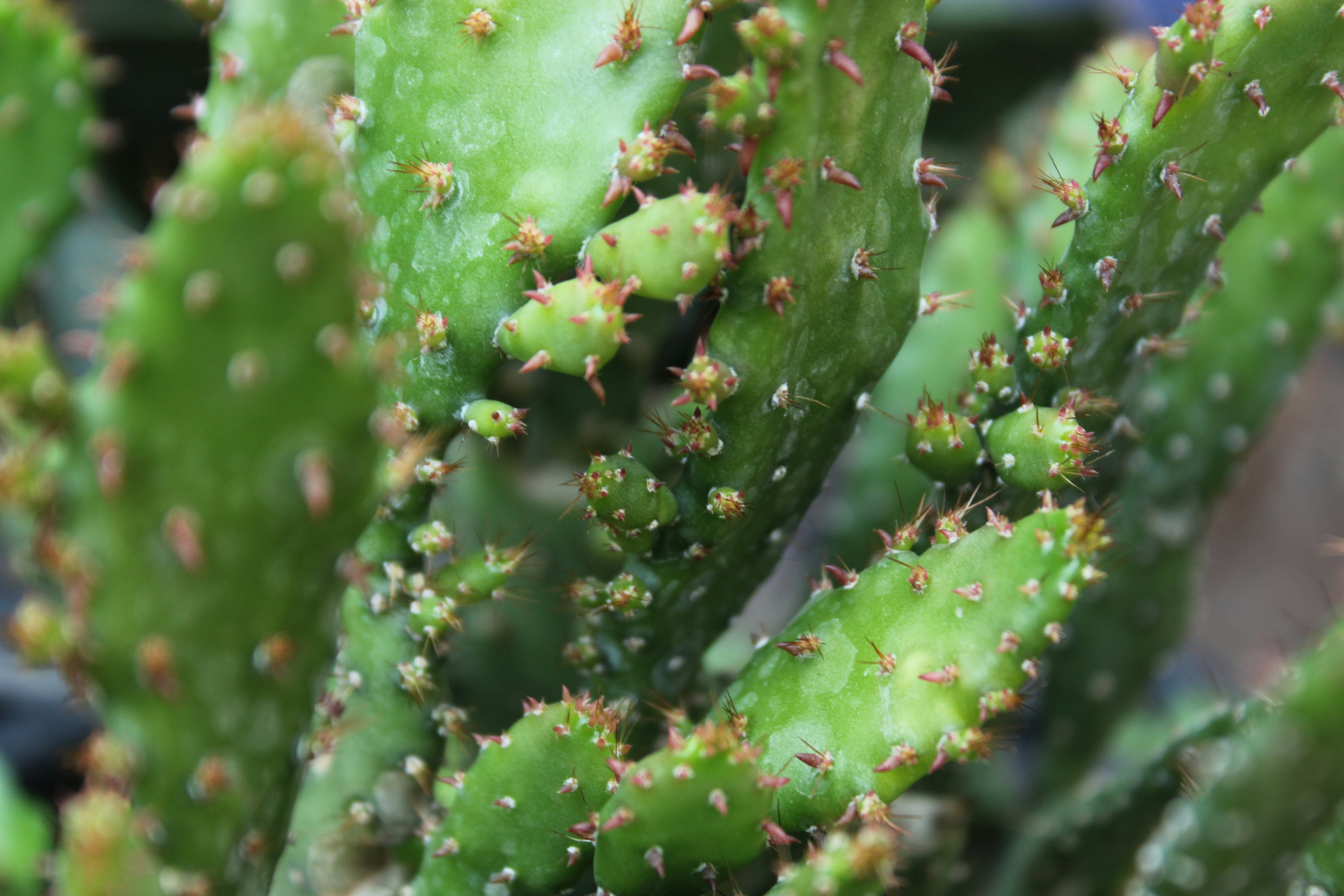 Photo by muruganandham23