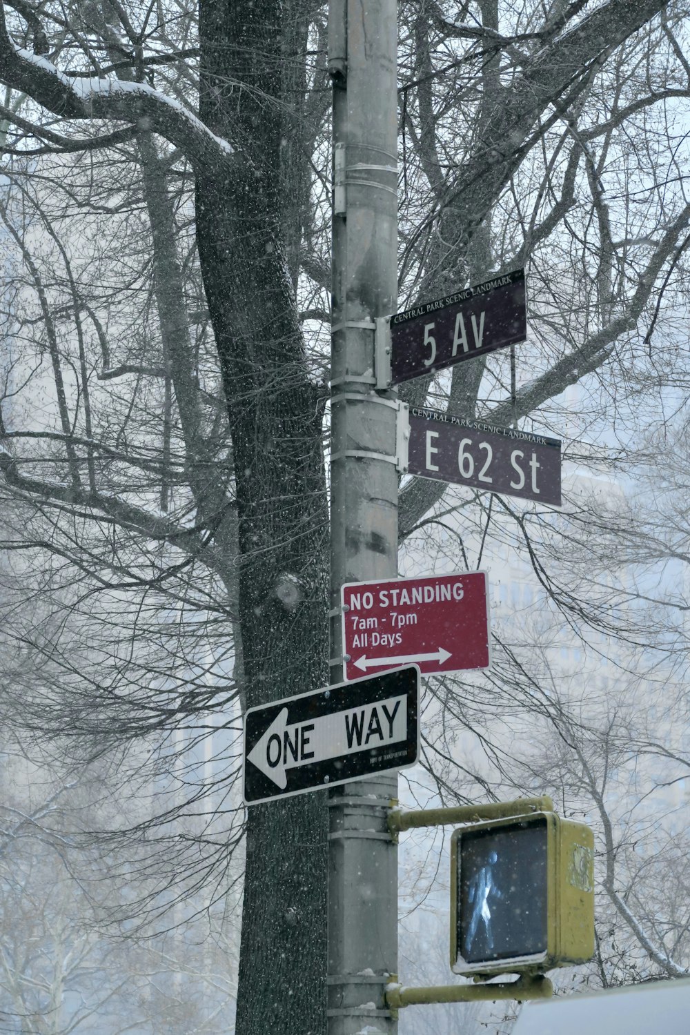 a street sign is posted on a pole