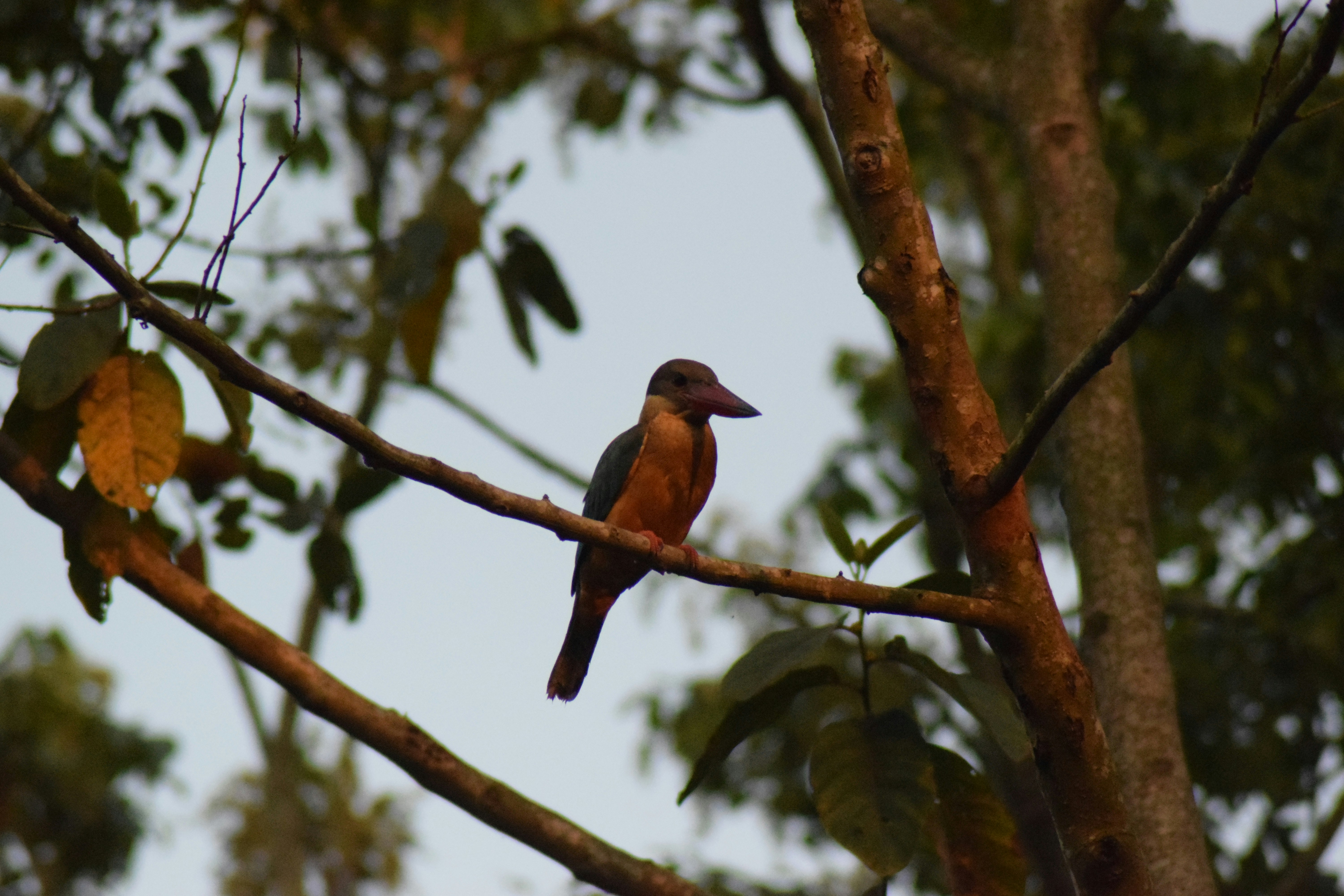 Photo by photographyworld