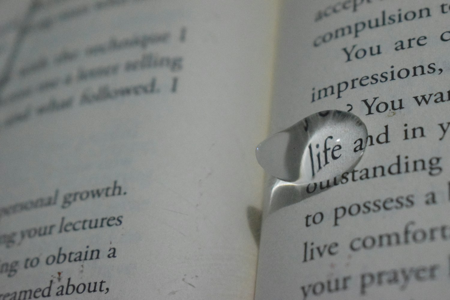 The Story Only You Can Tell