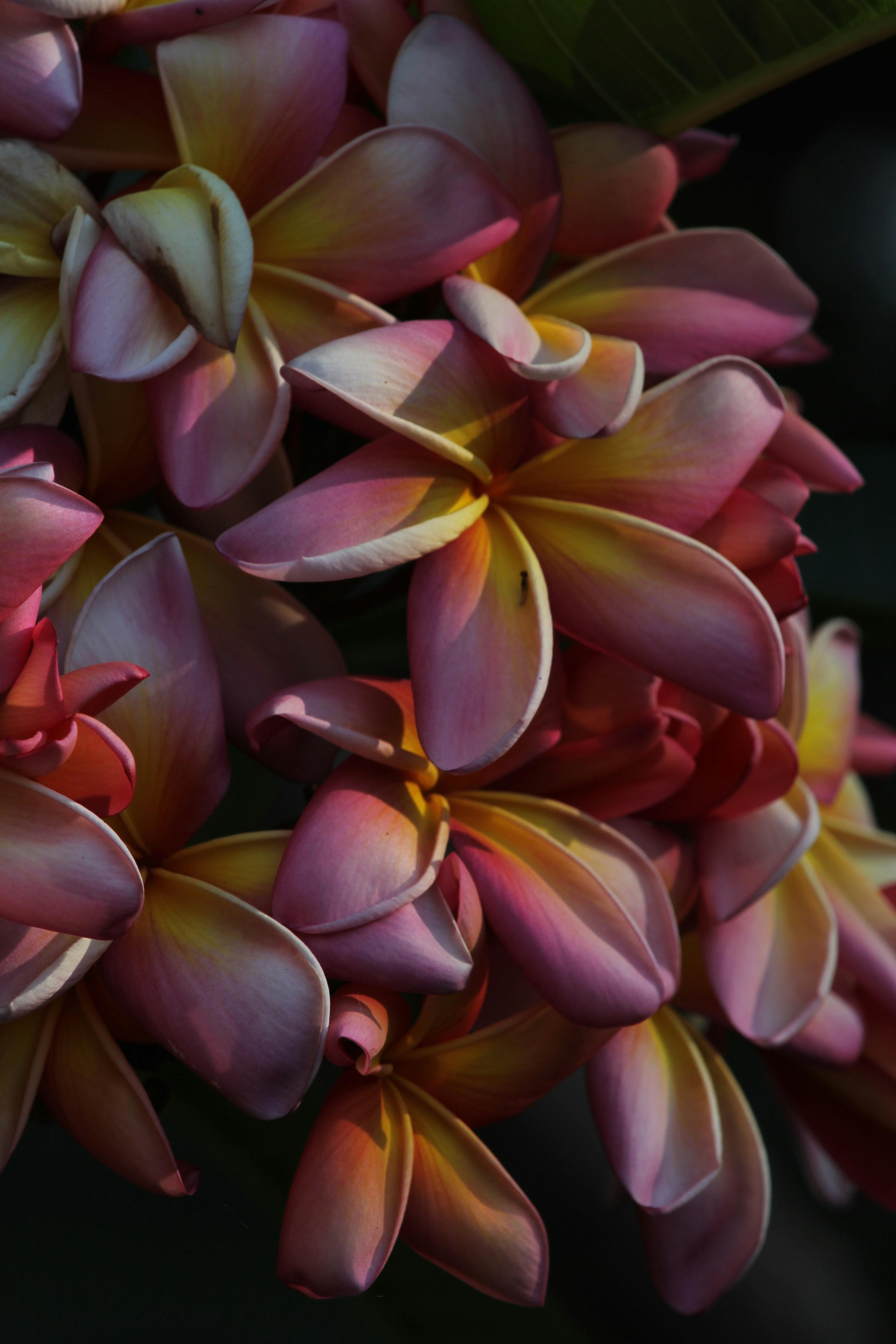 Photo by dustyrainbows