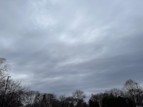 Gray clouds cover the sky with a few bare trees visible at the horizon, indicating a cold or overcast day.
