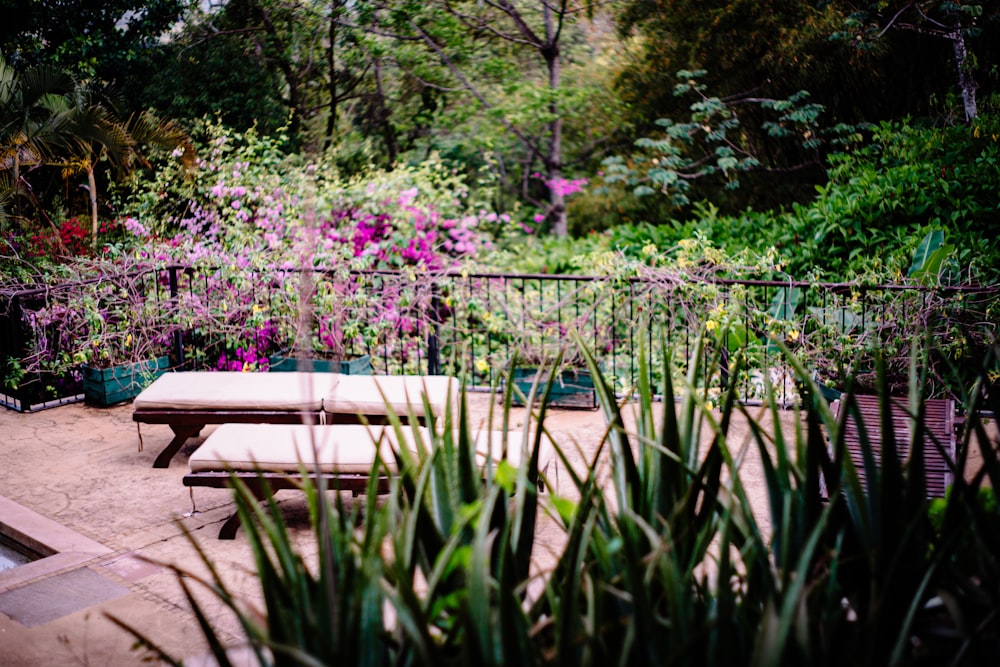 a bench in a garden