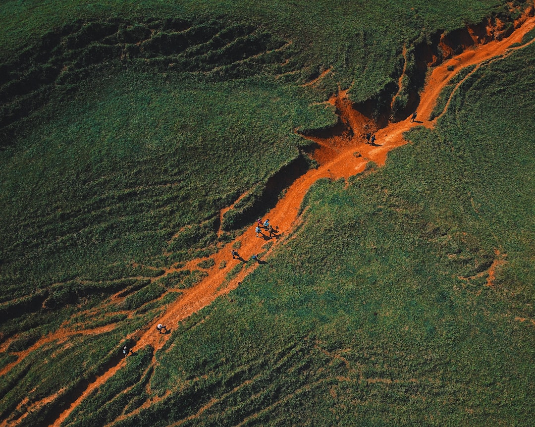 a close-up of a field, Senderismo.