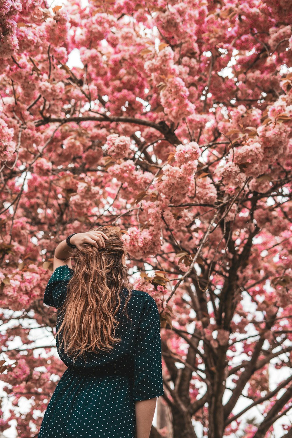 a woman standing under a tree with pink blossoms