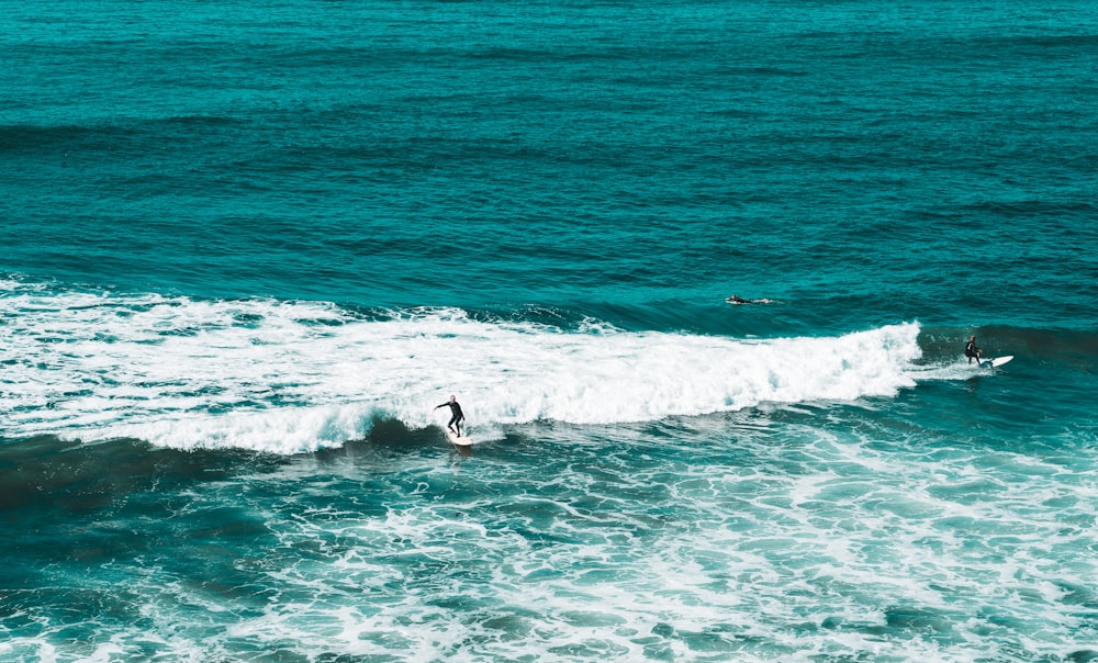 a group of surfers riding a wave