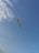 A happy customer flying a beautifully designed kite.